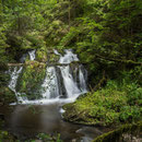 Rötenbach-, Haslach- und Wutachschlucht