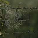Biosphärenreservat Mittelelbe