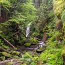 Ravennaschlucht bei Breitnau