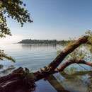 Insel Mainau