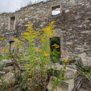 Schlossruine Harbke