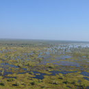Kakadu Schwemmland