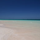 Coral Bay