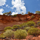 Kalbarri NP