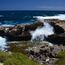 Rottnest Island