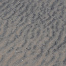 Sand