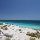 Coral bay