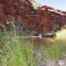 Karijini Nationalpark