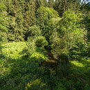 Autal - Manebach bei Ilmenau