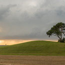 Orsingen - epic tree