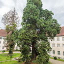 Salem - Innenhof der Prälatur