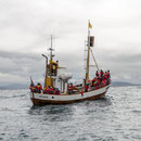 Seelenfänger in Husavik