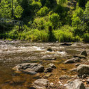 Rötenbach-, Haslach- und Wutachschlucht