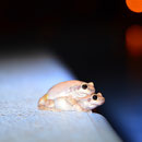 Rotlichtmilieu