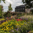 Ludwigsburg - Barockschloss - Garten