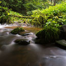 Allerheiligen-Wasserlauf - Schwarzwald Nationalpark