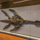 Stuttgart - Naturkundemuseum - Museum am Löwentor