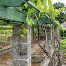 Weinmuseum