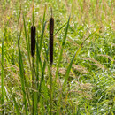 Biosphärenreservat Mittelelbe