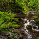 Ravennaschlucht bei Breitnau