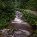 Allerheiligen-Wasserlauf - Schwarzwald Nationalpark