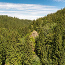 Ausblick von der Zillierbachtalsperre - Nationalpark Harz