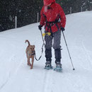 beim Schneeschuhwandern