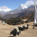 Sur la "place" principale