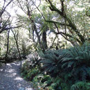 Key Summit Walk