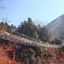 Toujours aussi sympa