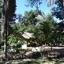 Le campement