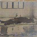 Une photographie au mur
