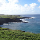 Un aperçu de l'île