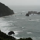 Tasman sea