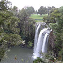 Les Whangarei Falls