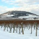 Winterlandschaft in Tokaj