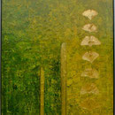 Gingko Biloba
