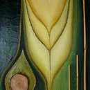 Element Holz II