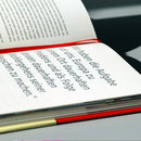 Anspruchsvolle Literatur für den Deutschen Sparkassen- und Giroverband