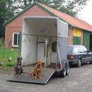 Geht`endlich los ? Pepper + Yuma