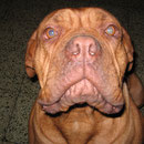 Was guckst du ? Gina