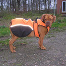 Cooles Outfit, oder ?