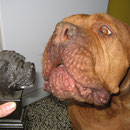 "Böser" Hund ....*g* ! Gina
