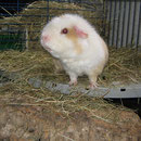 Gibt´s was zu futtern ? Illi