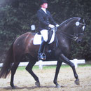 L - Dressur 2009