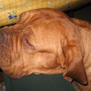 Nur soo ist erlaubt ! Gina