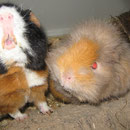 Yanni + Biggi