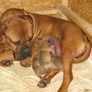 Mama Angie (leider verstorben 22.11.2008)