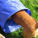 Yuma testet schon mal.......