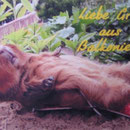 Ohne Worte !